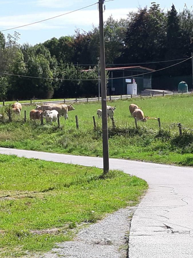 Casa Rural Irigoien Σαν Σεμπαστιάν Δωμάτιο φωτογραφία
